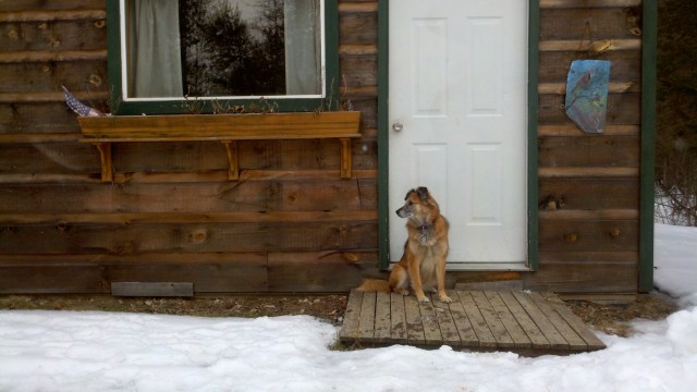 What's going on over there