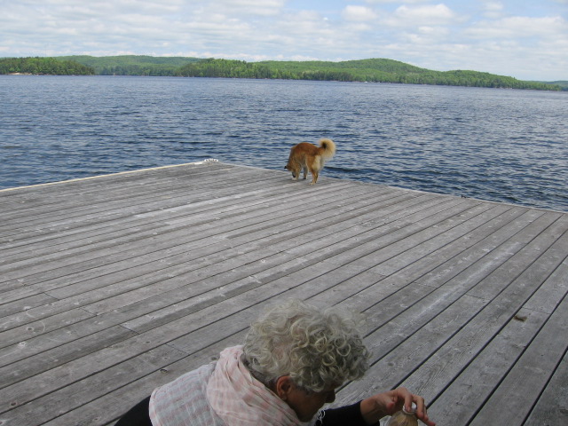 Lunch stop park to city drive 3