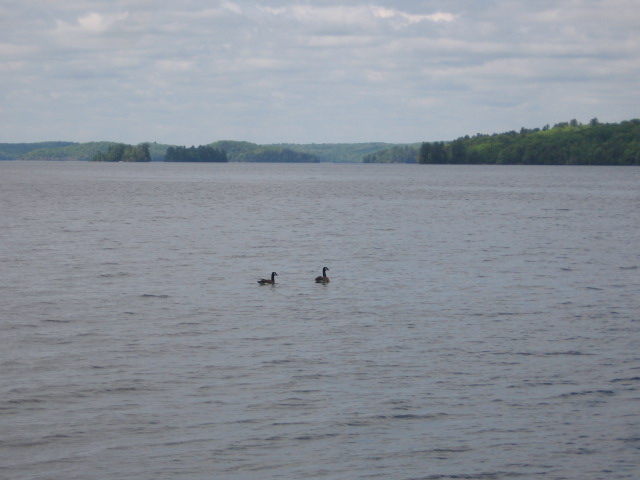 Lunch stop park to city drive 4