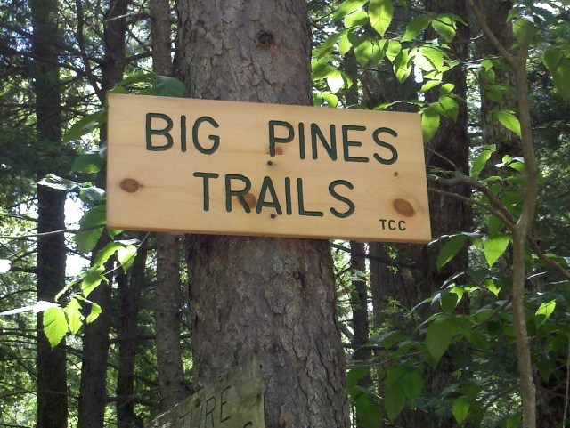 Big Pines sign
