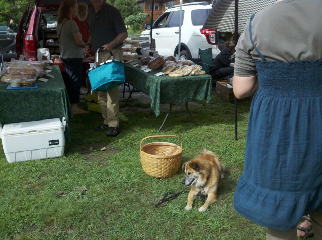 2012-08-11_09-35-42_125