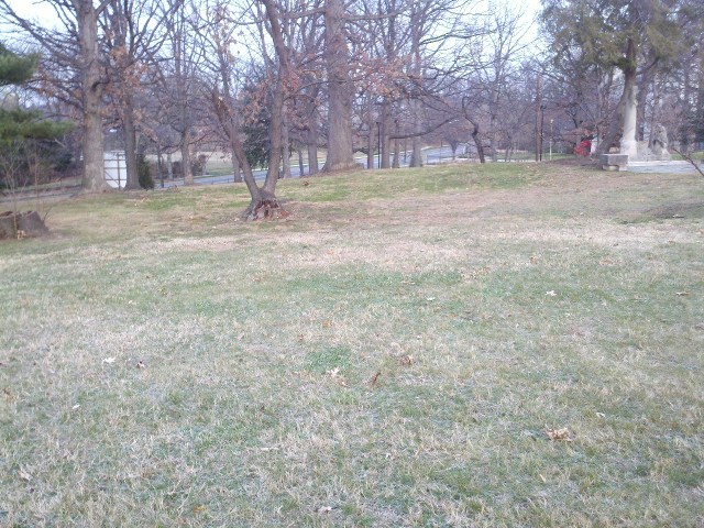 Maybe not the most scenic, rustic spot, but open space where a dog can get a case of the zoomies and not get hurt.