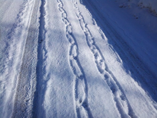 Looks like chain, or like chain stitch if you crochet.