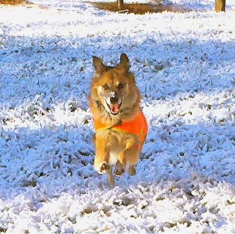 Full flight Chico 10-28-11