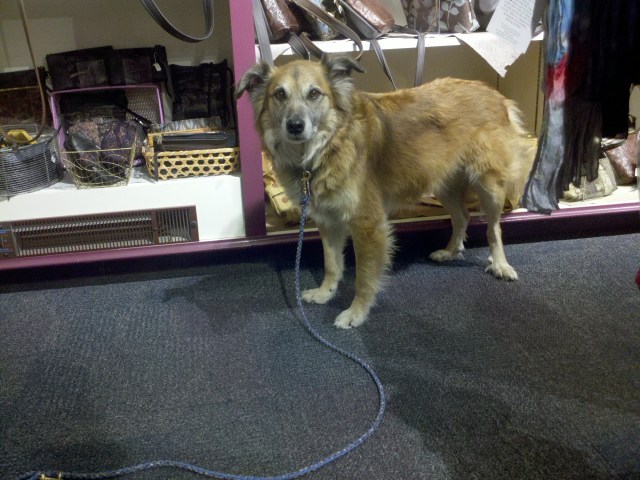 We stopped in to an artists' collective to look around.