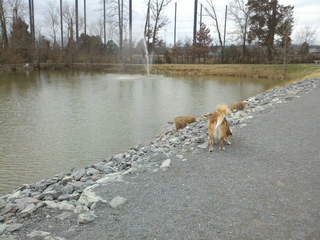 Lots of water to play in on warm summer days.