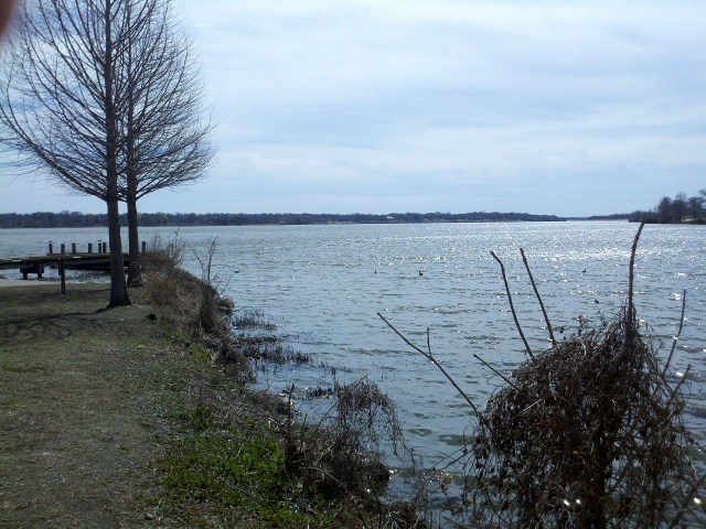 So we took a short walk at White Rock Lake Park (the least urban place I could find in Dallas).
