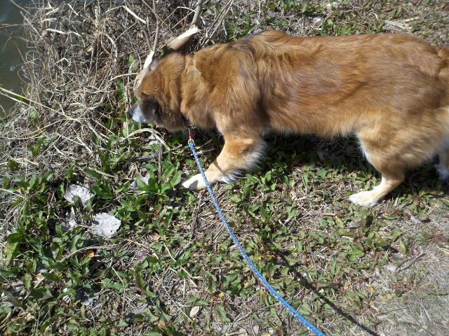 2013-03-04_12-04-54_478