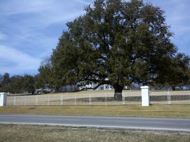 2013-03-04_12-41-47_904