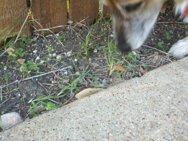 2013-03-05_07-38-06_21