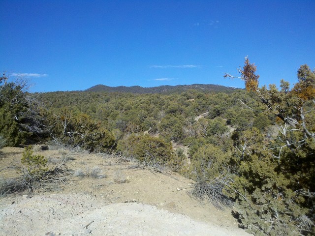 Trails that went here,