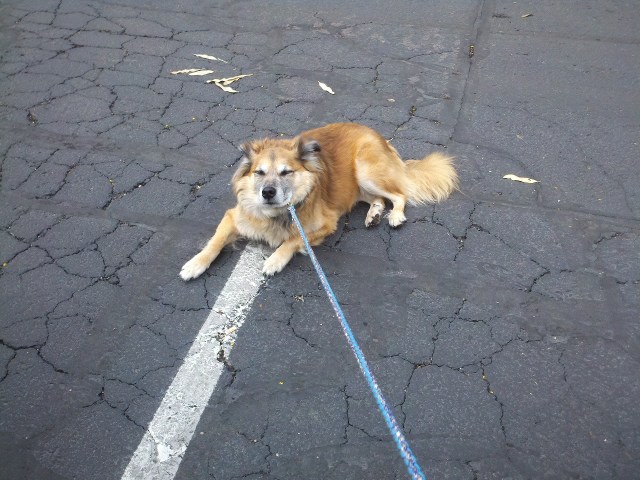 "Please, don't make me get back in ther car."