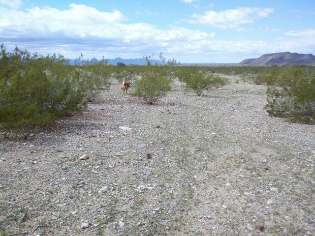 Something he enjoyed tremendously.