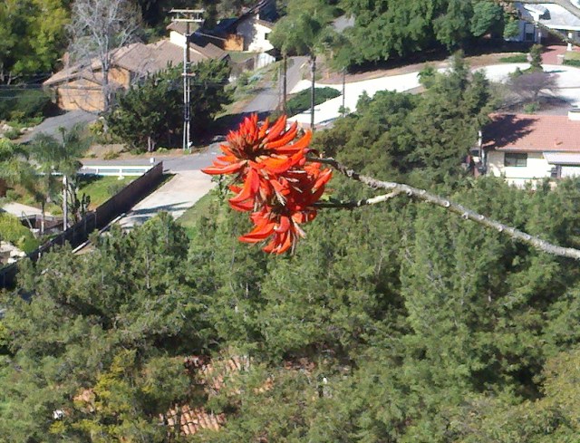 2013-03-11_10-04-18_489