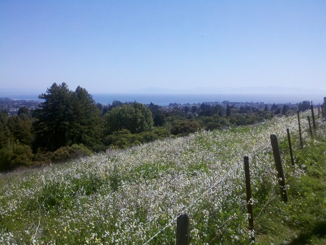 2013-03-21_13-49-04_449