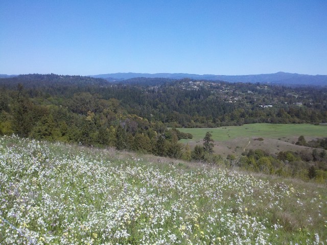 2013-03-21_13-49-16_687