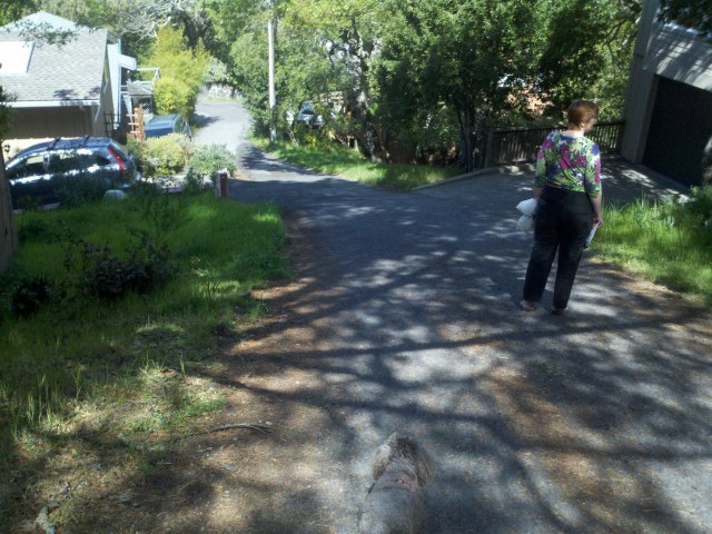 L&J's road is very steep. It's hard for a New Englander not to think "Good thing it doesn't snow here" when looking at this road.