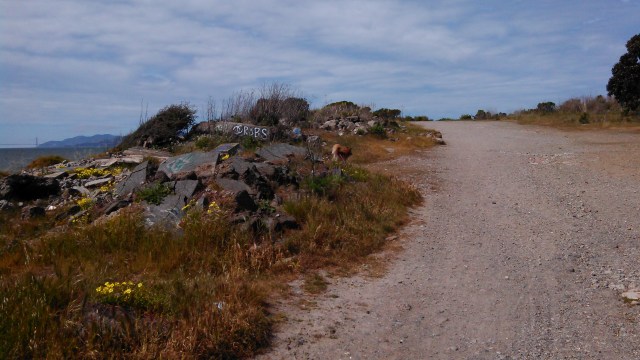 And dogs can go off-leash here.