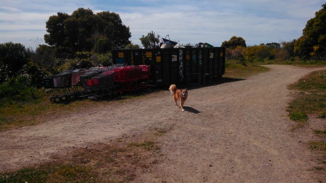 IMG_20130326_123808_602