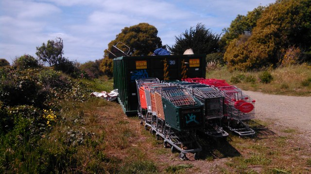 There's a huge clean-up going on.