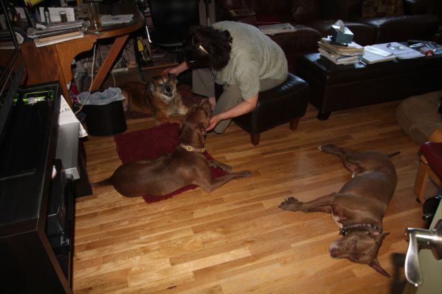 The older male, Bradley, was not even interested in Chico or any conflict.