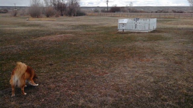 The grave and headstone are within a double layer of picket fence.