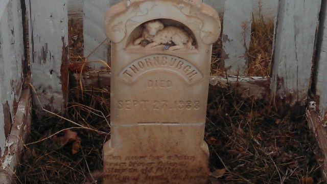 Super nice headstone, for any critter - two or four legged.