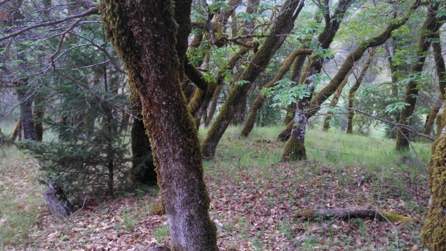 Here's the view from the composting toilet.