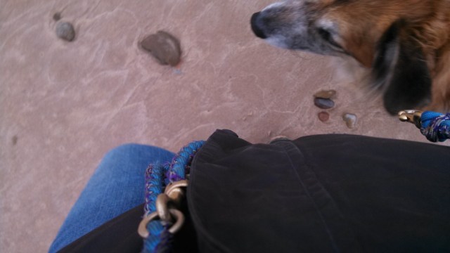 IMG_20130410_124914_570