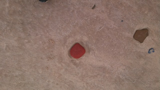 IMG_20130410_124922_651