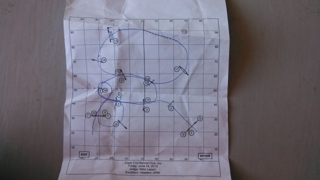 The course is different every time we compete. On arrival at the trial, I pick up the course map and have a chance 