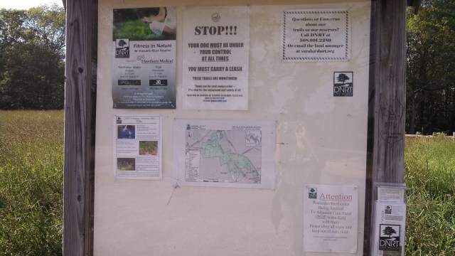 Look, that sign directs dog owners to do what most of us do, no matter the rules. 