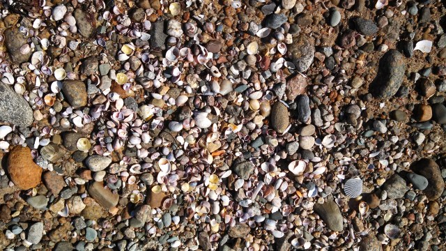 I've always been attracted to this jumble of shapes and colors along the beach.