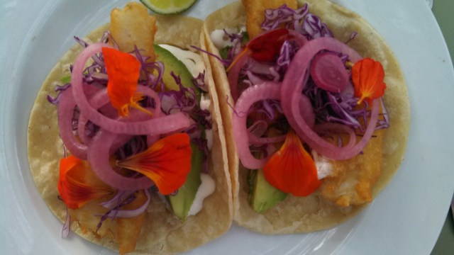 Fish Tacos with Eva's greens and edible flowers.
