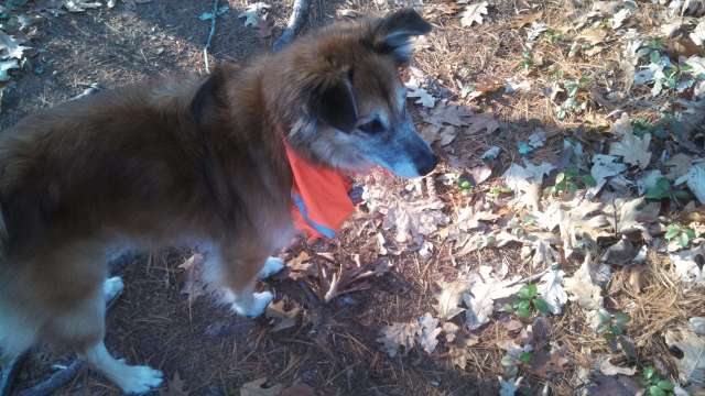 But still looking with interest for something.