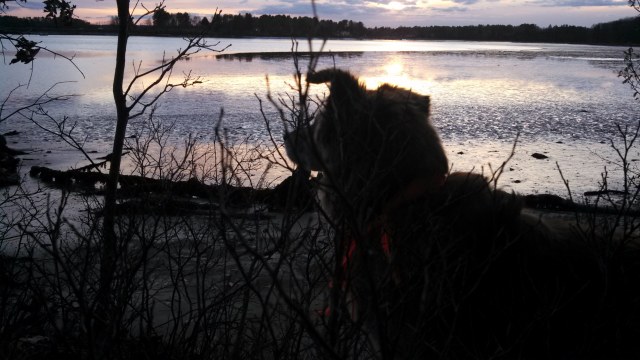 And that blaze orange scarf really shows up, doesn't it?