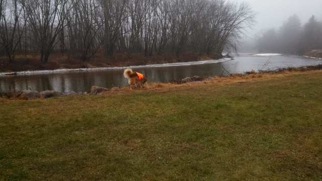 There's a flood-plain/field that's been declared a park.