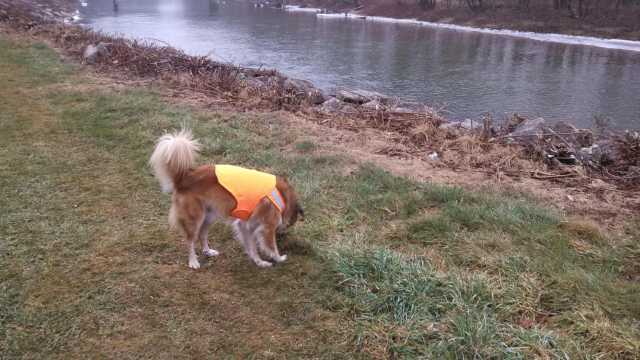 And zillions of critters have been here, so there's a LOT to smell.