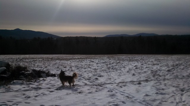 IMG_20131214_130152_665