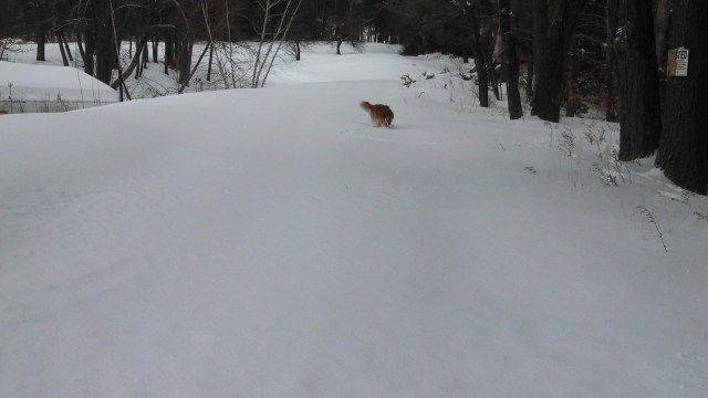 IMG_20131215_144218_048