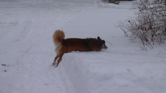 No matter how much he stretches.