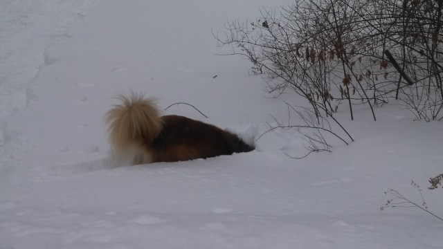 IMG_20131215_144657_485