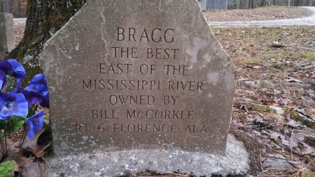 IMG_20131223_123556_455