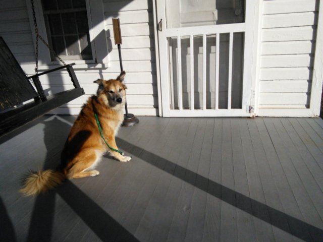 IMG_20131223_142853.jpg image