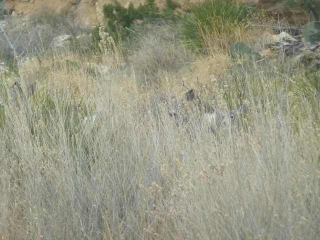 and a second one - both not moving and being invisible.