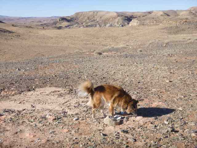 Pretty much the middle of nowhere. 