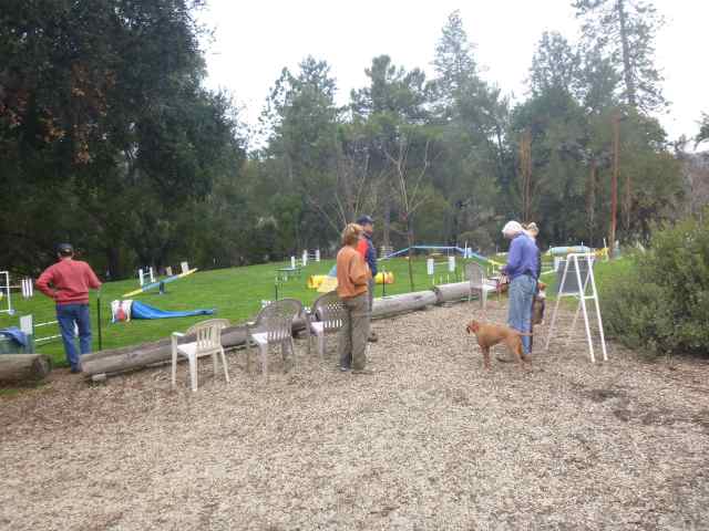Heart Dog is at a private home, with space for two outdoor rings.