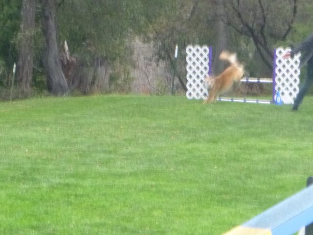 And here he's turning, presumably in the direction I'm asking for.