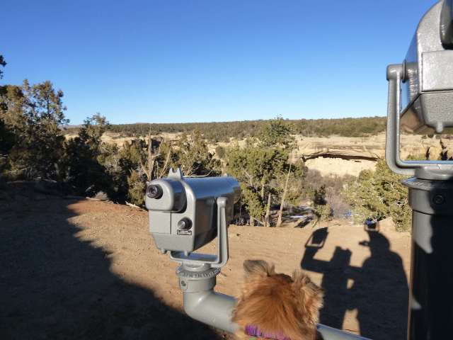 And more views that even a dog could appreciate.