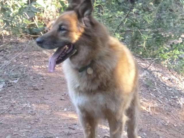 Buddy loves these outings.